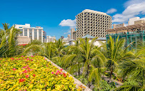 Able Pest Management - Photo 8 - Car repair in Waipahu, HI, Honolulu