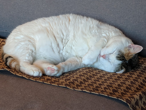 Shopping Mall «Hi-Lake Shopping Center», reviews and photos, 2218 E Lake St, Minneapolis, MN 55407, USA