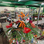 Photo n° 1 de l'avis de Alicia.a fait le 20/05/2024 à 13:56 pour Floriouest Distribution (Floraïa) à Vivy