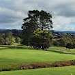 Maungakiekie Golf Club