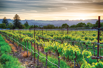 Diversified Crop Insurance Services - Car repair in Fresno, CA, Fresno - Rated 5.0/5