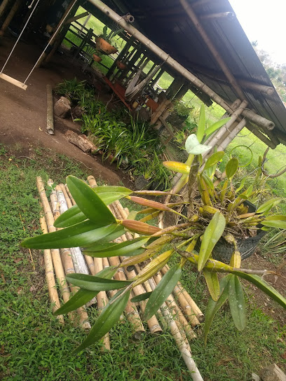 Finca Villa Livia - Unnamed Road, Timbio, Timbío, Cauca, Colombia