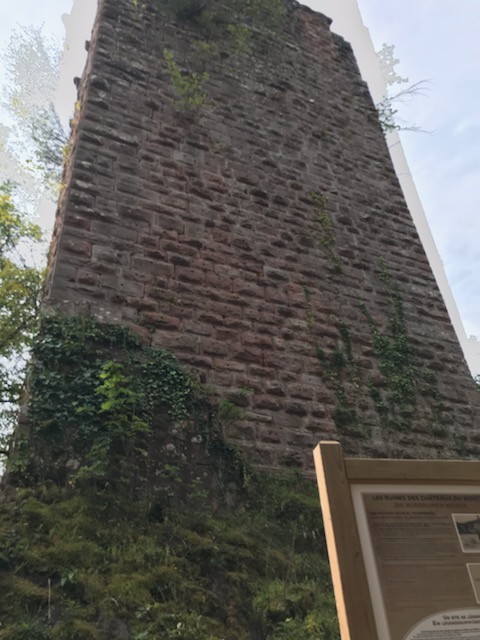 Photo n° 1 de l'avis de Adline. fait le 05/08/2020 à 16:36