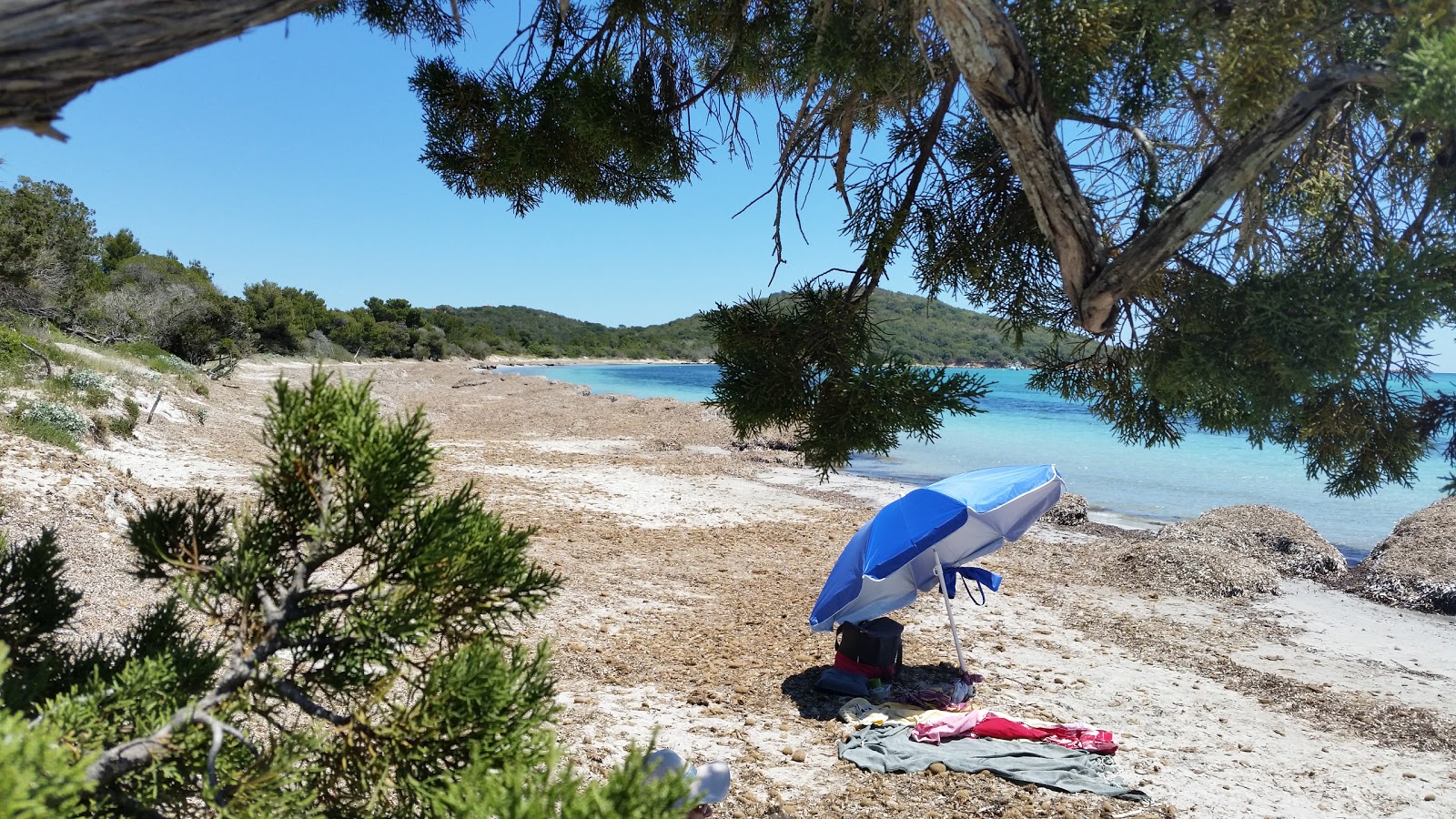 Photo de Plage de Pinarellu II - endroit populaire parmi les connaisseurs de la détente