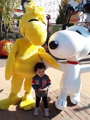 Planet Snoopy - photo 41