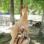 Photo n°1 de l'avis de Roberto.a fait le 27/08/2023 à 08:56 sur le  Plan Coumarial à Fontainemore