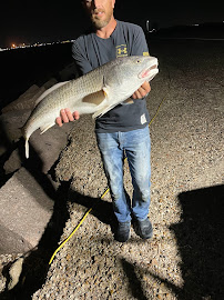 True Blue Pool Co. - Photo 5 - Car repair in , Pasadena