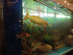 Photo n°25 de Chang à La ()