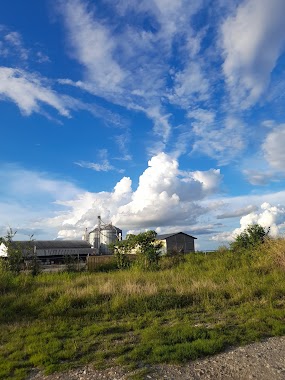 Molivenca