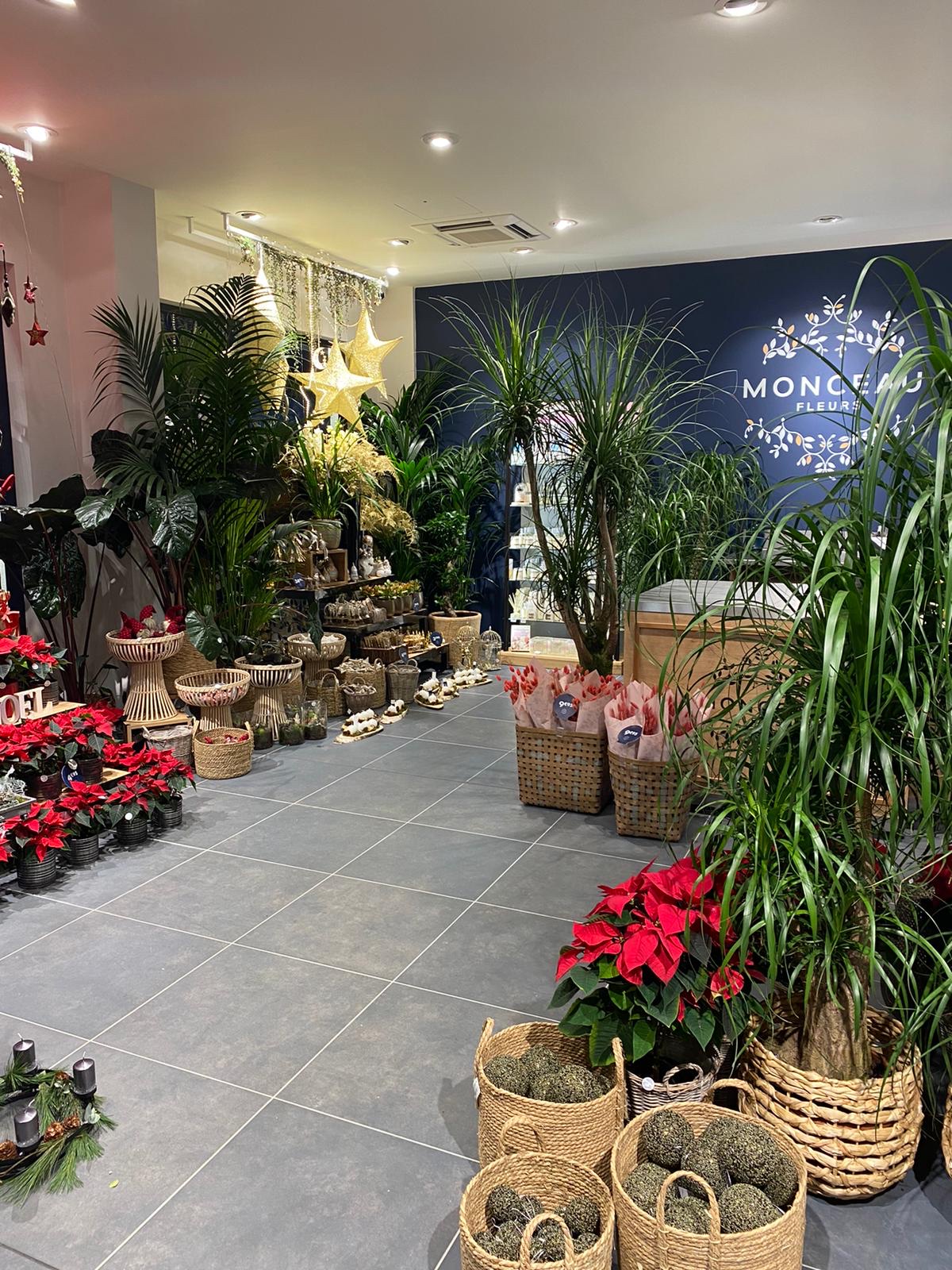 Photo n° 4 de l'avis de Enzo.e fait le 28/11/2020 à 19:44