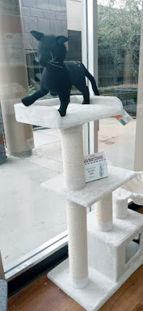 Pet Supermarket - Photo 4 - Car repair in Atlanta, GA, Atlanta