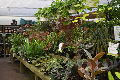 Garden Center «Pike Nurseries», reviews and photos, 615 W Crossville Rd, Roswell, GA 30075, USA