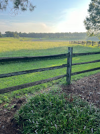 RRS Southeast - Photo 1 - Car repair in , Tallahassee