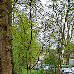 Photo n°2 de l'avis de Moonlight. fait le 16/04/2024 à 17:29 sur le  STOCK's à Hamburg