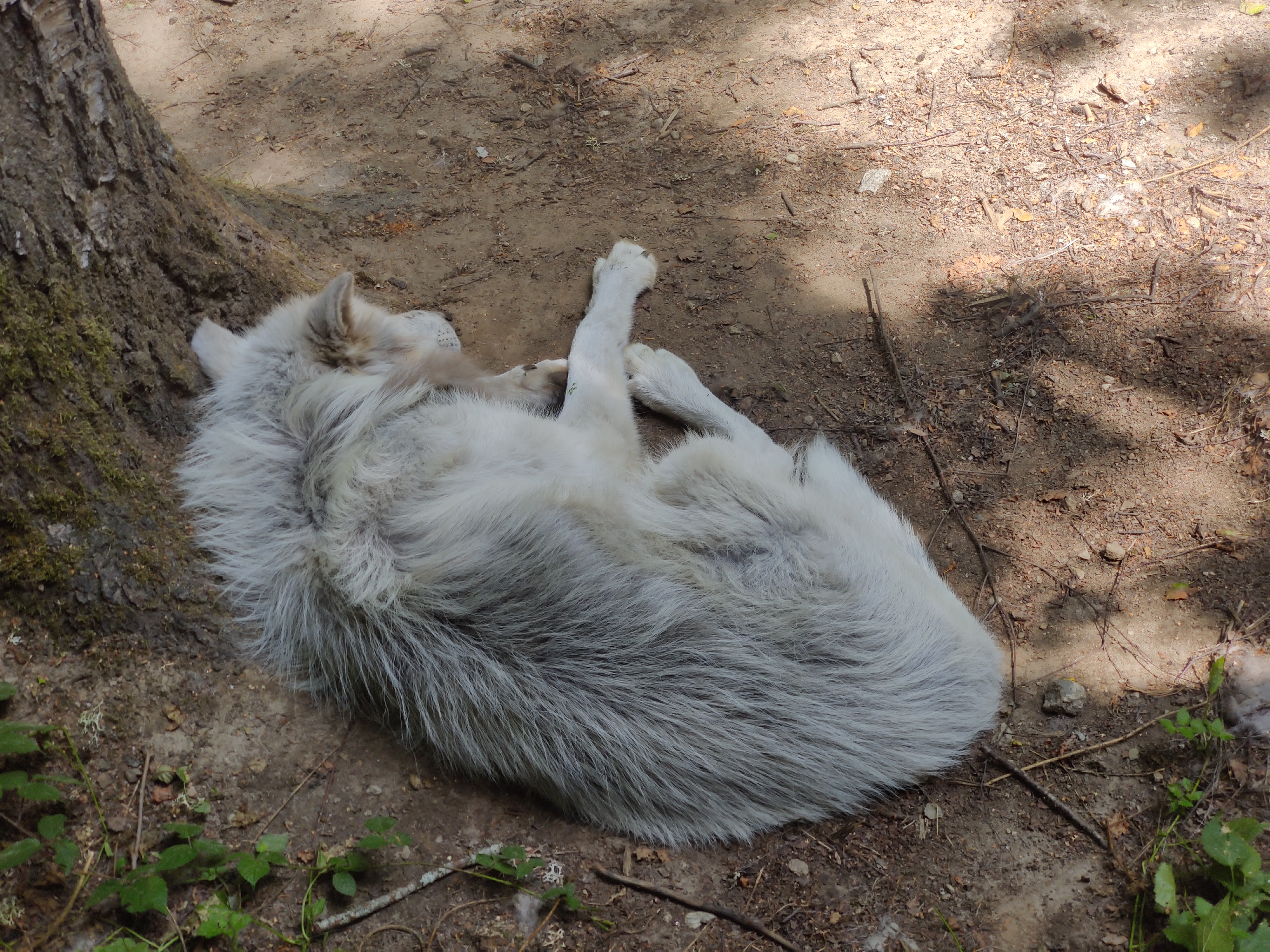 Photo n° 11 de l'avis de Julien.o fait le 14/08/2022 à 13:43