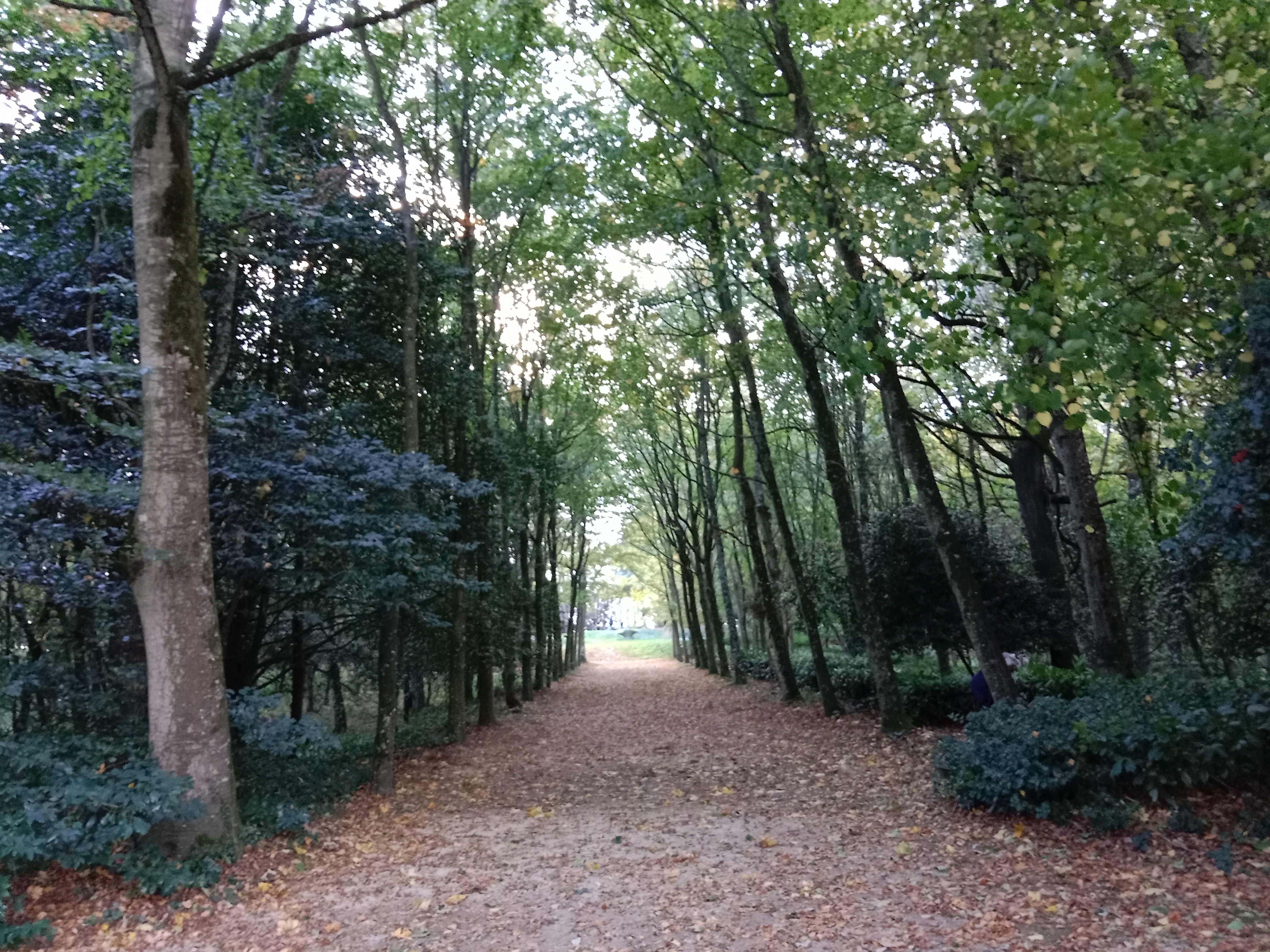 Photo n° 6 de l'avis de gourio.o fait le 09/03/2019 à 09:04