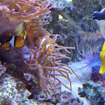 Photo n°1 de l'avis de Michael.. fait le 29/04/2022 à 14:39 sur le  Hotel Apollon Rust à Rust