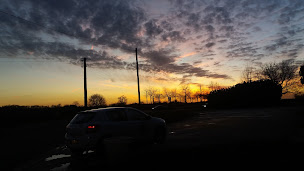 Photo n°22 de Palmeraie du Sud à Champeaux ()