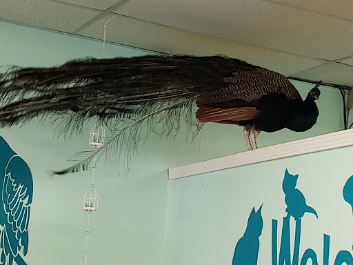 Pet Store «The Pet Stop», reviews and photos, 9128 E Foothill Blvd, Rancho Cucamonga, CA 91730, USA