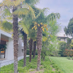 Photo n°1 de l'avis de Praveen.a fait le 02/05/2023 à 07:33 sur le  The Foscarini à Mogliano Veneto