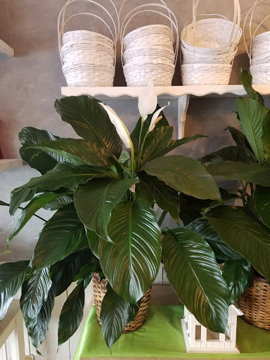 Florist «Tampa Flowers and Baskets», reviews and photos, 4719 Normandy Dr, Tampa, FL 33615, USA