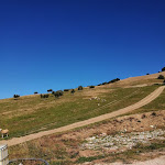 Photo n°1 de l'avis de Ario. fait le 16/10/2022 à 13:50 sur le  Agriturismo Il Montanaro à Villa Camera