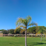 Photo n°39 de l'avis de Massimo.e fait le 13/03/2018 à 13:43 sur le  Cala Luas Resort à Cardedu