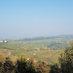 Photo n°2 de l'avis de Mario.e fait le 22/10/2018 à 10:12 sur le  Il GrecAle à La Morra