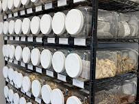 PLUS Acupuncture, Inc. - Photo 3 - Car repair in Falls Church, VA, Alexandria