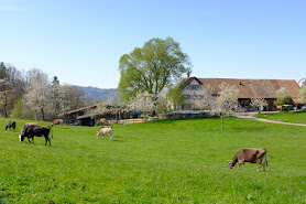 Erlebnisbauernhof Ölberg