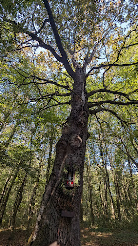 Opinii despre Lentiszombathely în Lenti - Bolt