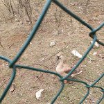 Photo n°8 de l'avis de Cristian.a fait le 09/04/2022 à 21:58 sur le  Agriturismo Tra i Monti by Villetta Graziani à Altipiani di Arcinazzo