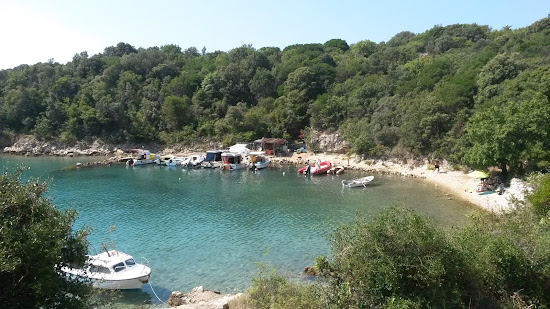 Y beach