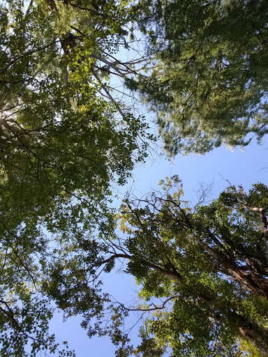 Park «North Lynnwood Park», reviews and photos, 18510 44th Ave W, Lynnwood, WA 98037, USA