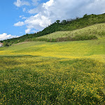 Photo n°2 de l'avis de G..n fait le 26/04/2022 à 20:08 sur le  Admiral Park Hotel à Zola Predosa
