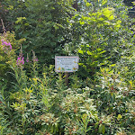 Photo n°2 de l'avis de Carsten.o fait le 08/07/2023 à 11:39 sur le  Hotel Hasselhof à Braunlage