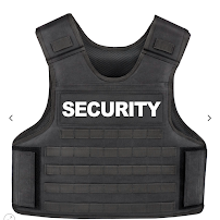 Safe Zone Security LLC - Car repair in , Queens - Rated 0.0/5