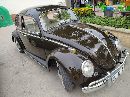Ayuntamiento de Gelsa, Ayuntamiento en Gelsa,Zaragoza