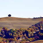 Photo n°3 de l'avis de John.i fait le 22/07/2023 à 20:35 sur le  Podere Salicotto à Buonconvento