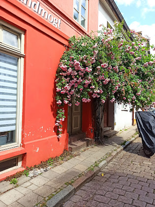 Photo hôtels Hotel Reingard 23966 Wismar