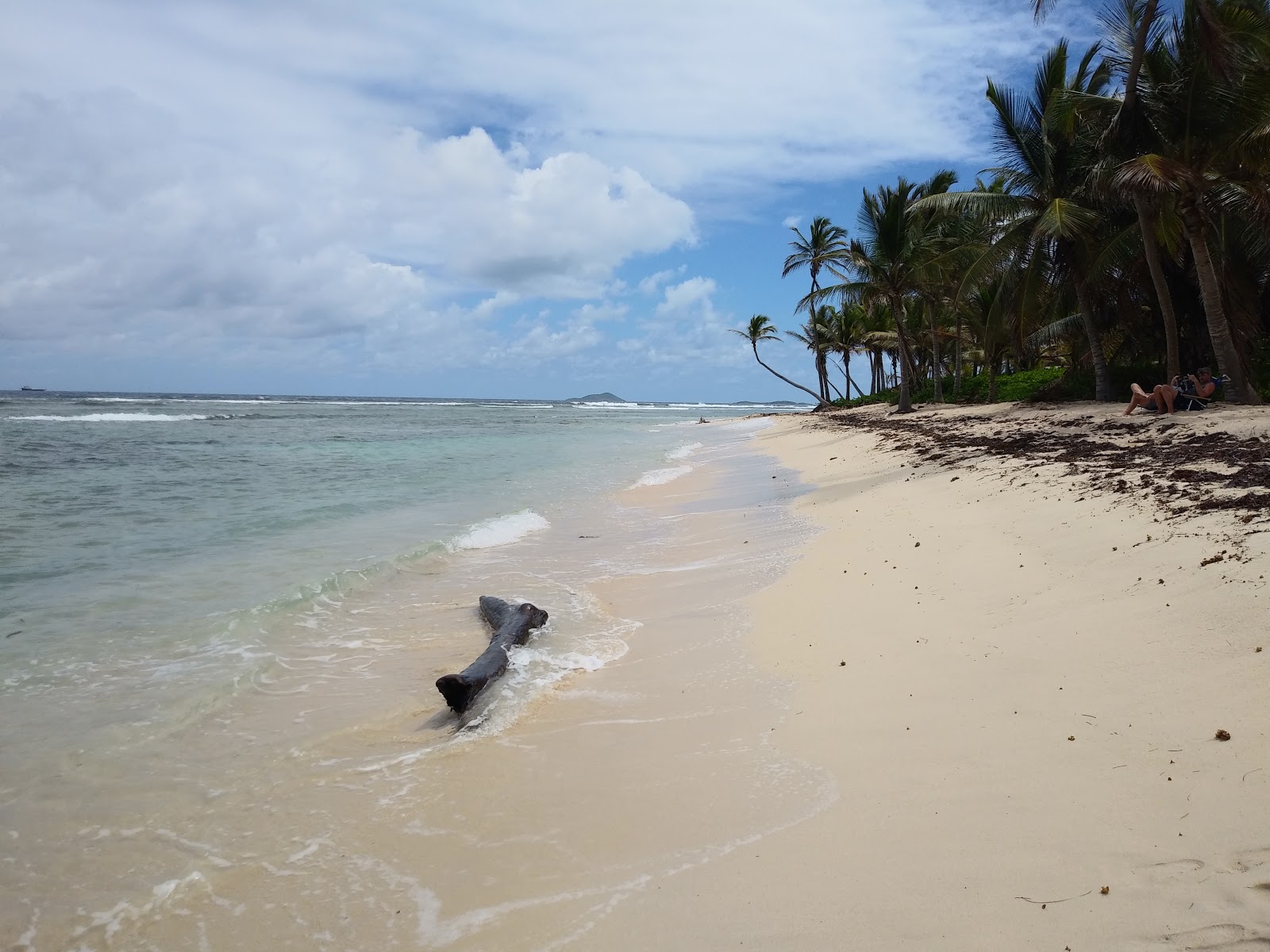 Pelican Cove beach'in fotoğrafı imkanlar alanı