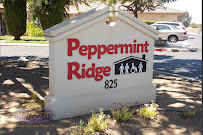 Peppermint Ridge - Photo 4 - Car repair in Corona, CA, Corona
