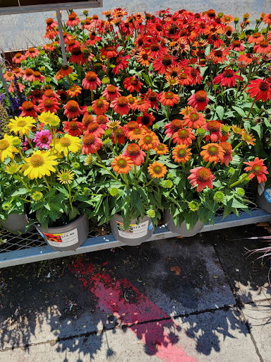 Home Improvement Store «The Home Depot», reviews and photos, 2750 Crow Canyon Rd, San Ramon, CA 94583, USA