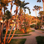 Photo n°16 de l'avis de giovanni.i fait le 14/06/2018 à 11:26 sur le  Villaggio Il Gabbiano à Capo Vaticano