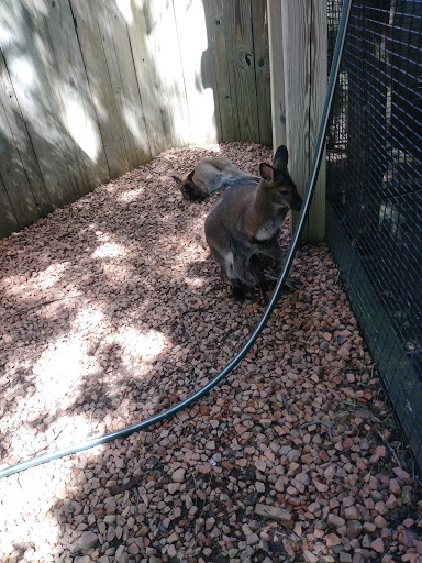 Public Swimming Pool «Tropicanoe Cove», reviews and photos, 1915 Scott St, Lafayette, IN 47904, USA