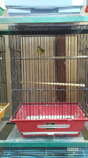 Tropical Fish Store «Midway Tropical Fish & Pets», reviews and photos, 24101 Pacific Hwy S, Kent, WA 98032, USA