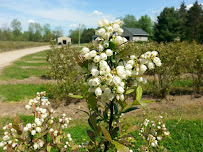 Nature's Cure Natural Soil Fertility - Photo 4 - Car repair in , Kalamazoo