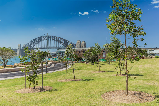 Barangaroo Reserve