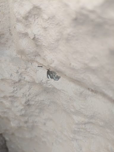 Waterproofing Company «Ayers Basement Systems», reviews and photos