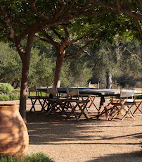 Element Landscape Construction, Inc - Photo 5 - Car repair in , San Buenaventura